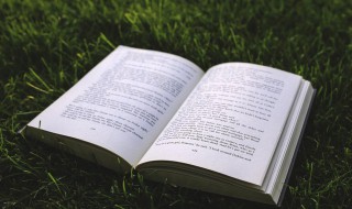 幼儿园教师最美格言（幼儿园教师最美格言文言文）