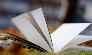 家风家训格言 家风家训格言警句