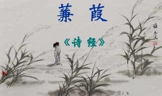 诗经蒹葭原文翻译赏析（诗经蒹葭的译文）