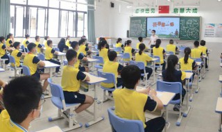 童趣文言文 童趣文言文翻译阅读答案