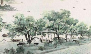 钱塘湖春行翻译全文（钱塘湖春行翻译全文简短）