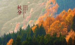 描写节气秋分的诗（描写节气秋分的诗句）