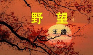 野望原文及翻译（野望原文及翻译杜甫纳纳乾坤大）