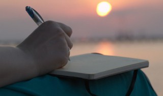 春节作文 春节作文600