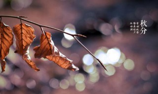 秋分作文800字 秋分作文800 高中