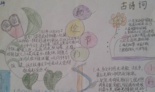 世界粮食日手抄报内容 世界粮食日手抄报内容 简单漂亮