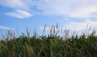 描写秋天天气的词语 描写秋天天气的词语有哪些