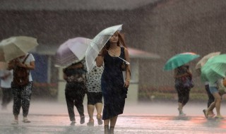 动静结合的景物描写（动静结合的景物描写一段话）