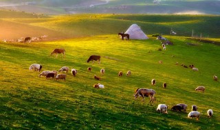 描写草原美景的好片段 描写草原美景的好片段摘抄