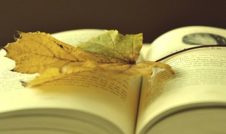 描写秋景古诗（描写秋景古诗有哪些）