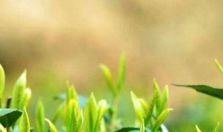 环境描写的作用是什么（小英雄雨来的环境描写的作用是什么）