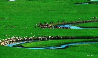 描写草原的句子（描写草原的句子短句10字）