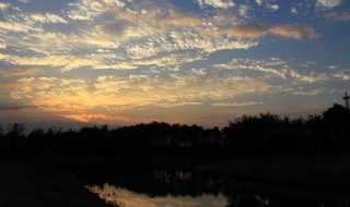 傍晚的景色描写（傍晚的景色描写好句）