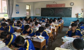 节约粮食征文 节约粮食征文400字