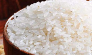 节约粮食的重要性（节约粮食的重要性英语）