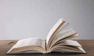 红星照耀中国每篇概括300（红星照耀中国每篇概括300字以上）