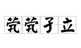 茕茕孑立什么意思（形影相吊茕茕孑立什么意思）