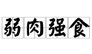 弱肉强食什么意思（弱肉强食,优胜劣汰,适者生存是什么意思）