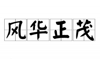 风华正茂什么意思 豆蔻年华风华正茂什么意思