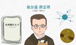 薛定谔什么意思（薛定谔什么意思?）
