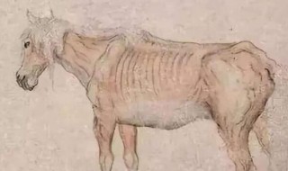 扬州瘦马什么意思 扬州瘦马什么意思呢房间卫生间下水道