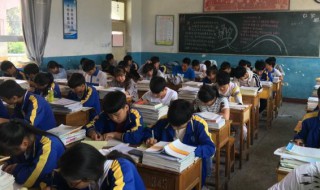 大海水命是什么意思（属猪大海水命是什么意思）