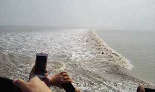 风号浪吼是什么意思（风号浪吼是什么意思 标准答案）