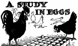 基数是什么意思 基数是什么意思举例子