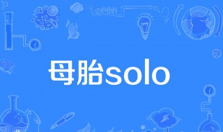 母胎solo什么意思