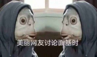 面基是什么意思?（面积是什么意思）