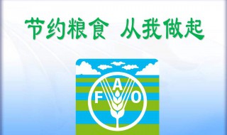 节约粮食演讲稿（节约粮食演讲稿800字）