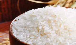 珍惜粮食的古诗 珍惜粮食的名言