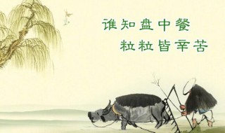 珍惜粮食的名言（珍惜粮食的名言警句有哪些）