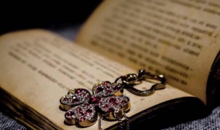 满分作文优美句子摘抄（满分作文优美段落）