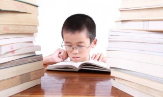 一个个照样子写句子（一片片一个个照样子写句子）