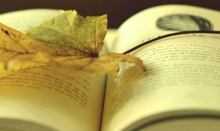 读钢铁是怎样炼成的有感800字（读钢铁是怎样炼成的有感800字左右）