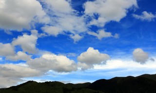 飘在天上的日子作文（飘在天上的日子作文(变形记）