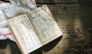 六年级作文变形记500字（六年级作文变形记500字左右猫）