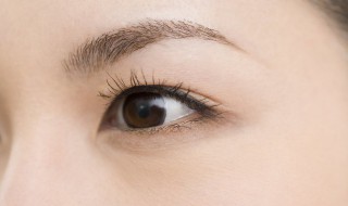 眼睛的作用 眼睛的作用是什么