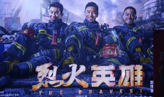 烈火英雄观后感 烈火英雄观后感600字