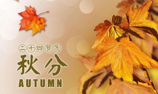 秋分的诗4句（秋分的诗句4句）