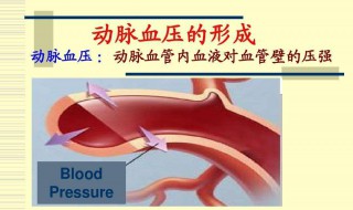 收缩压和舒张压是什么意思 心脏收缩压和舒张压是什么意思