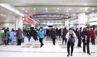 群策群力是什么意思（群策群力是什么意思 反义词）