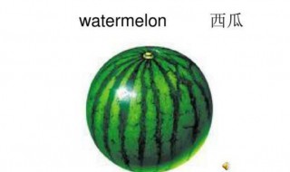 西瓜的英语怎么读（西瓜的英语怎么读 单词怎么写）
