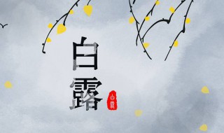 关于白露节气的诗 关于白露节气的诗句