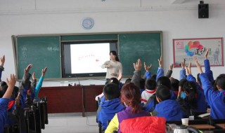 积木房子读后感 小狗的房子积木房子读后感