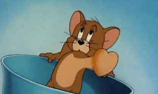 老鼠英语怎么读 老鼠英语怎么读mouse