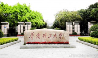 理工大学是学什么的（理工大学是学什么的呀）