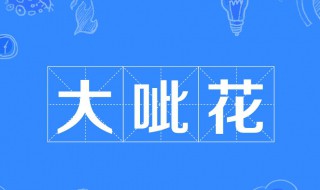 大呲花什么意思（东北话大呲花什么意思）