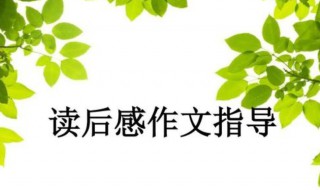 怎样写好读后感征文（怎样写好读后感征文范文）